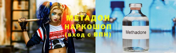 индика Алексеевка