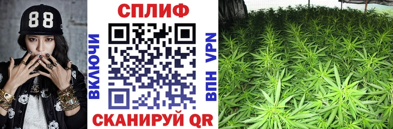 Конопля SATIVA & INDICA  Новоалтайск 